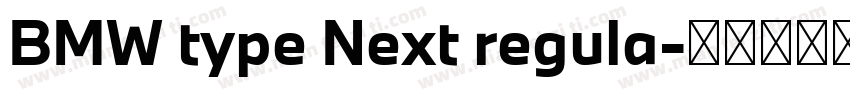 BMW type Next regula字体转换
